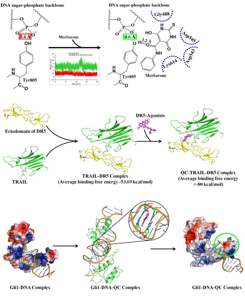 Mechanism